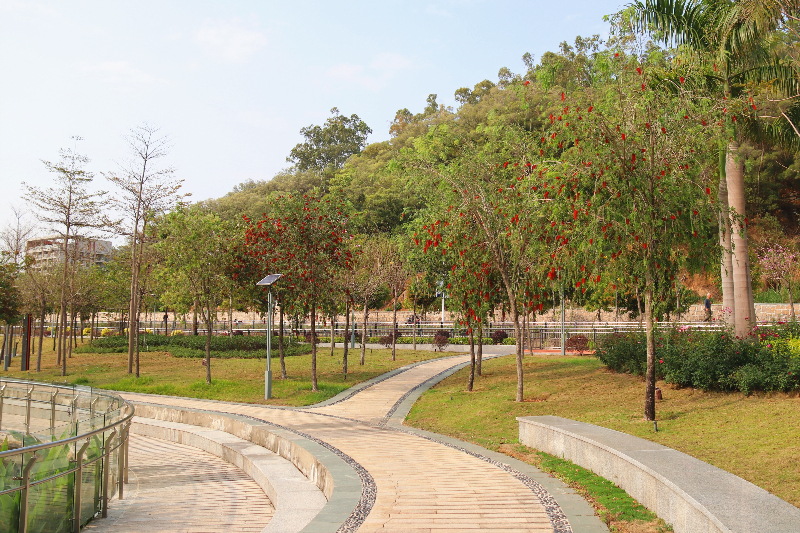 稿定设计-8.jpg