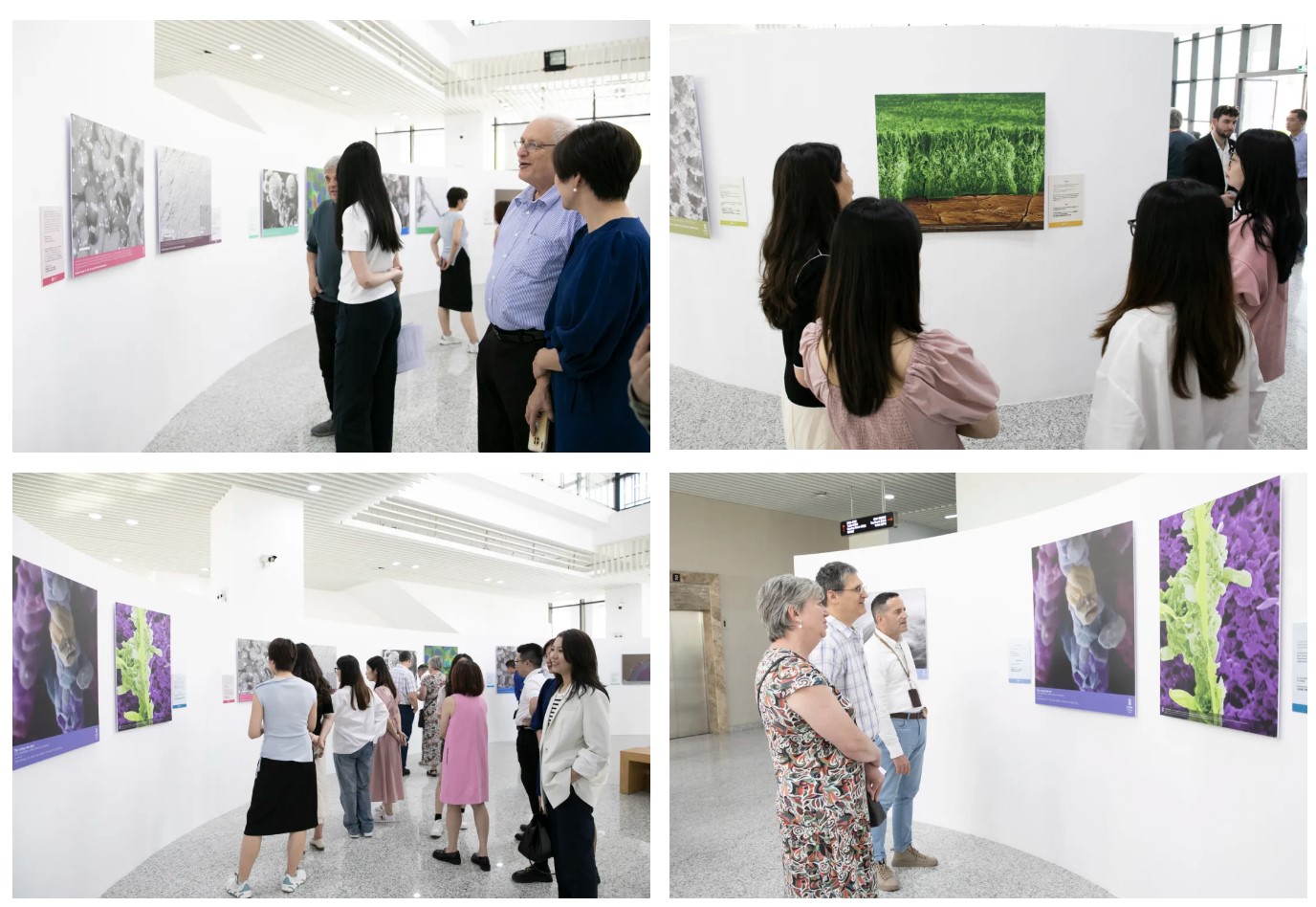 屏幕截图 2024-05-17 091917.jpg